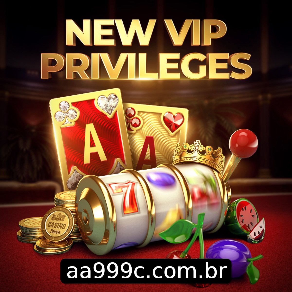 Programa VIP aa999